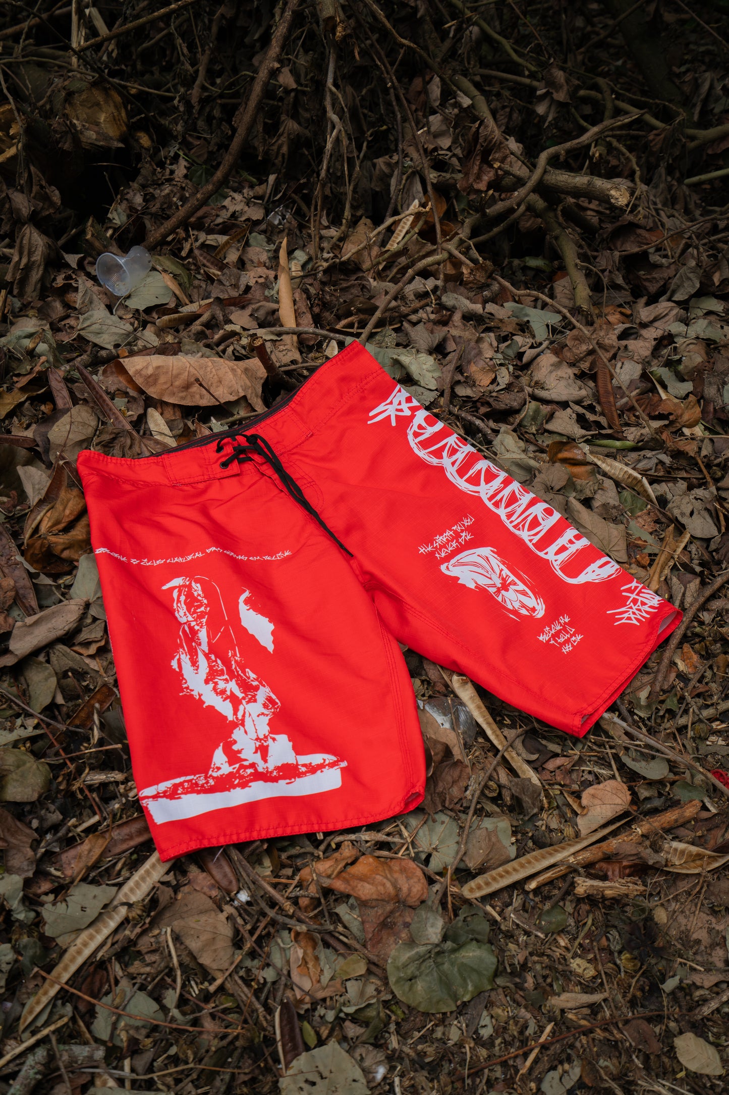 CICLO NATURAL EM DECLIVE